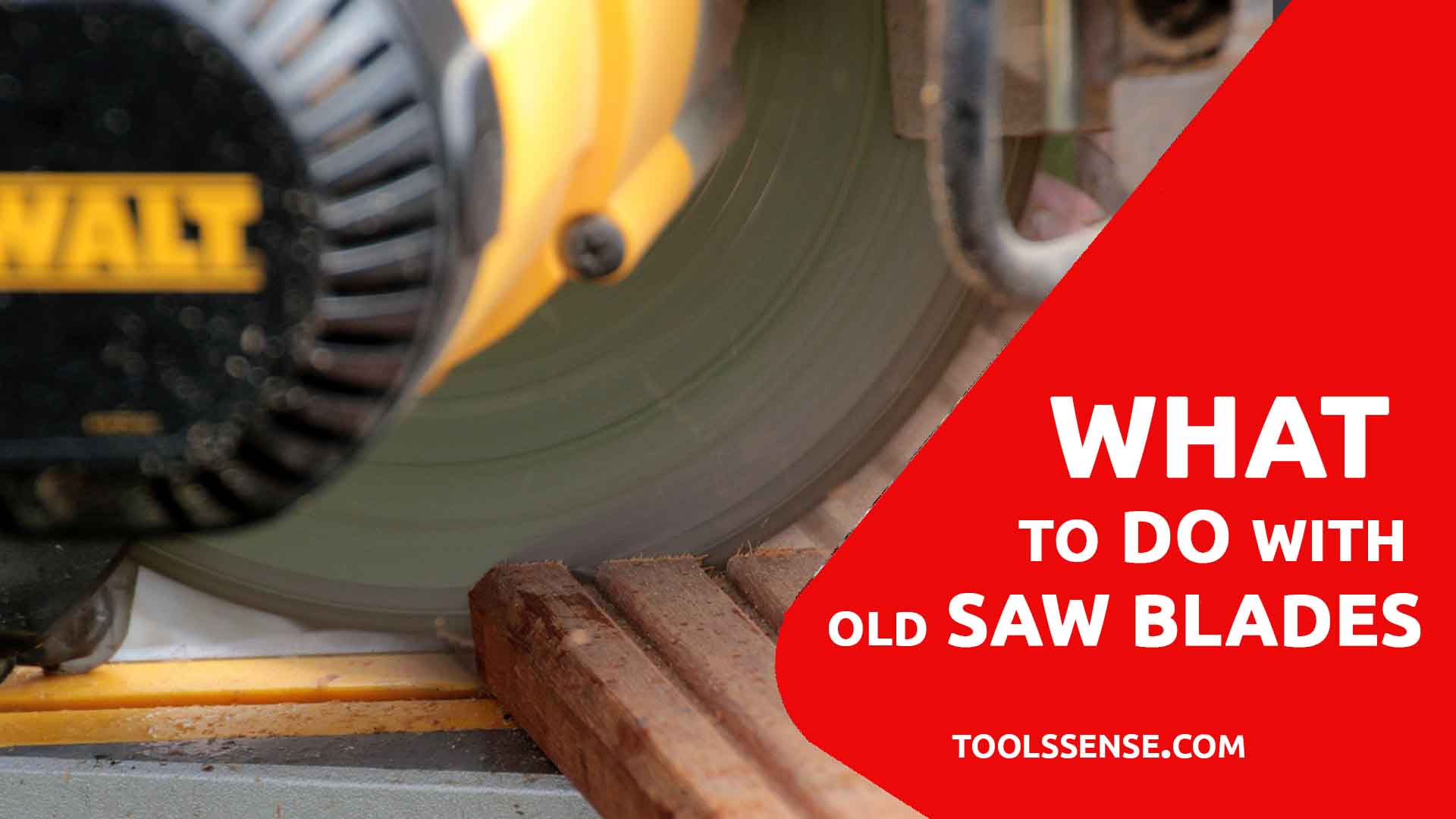 What To Do With Old Saw Blades Tools Sense